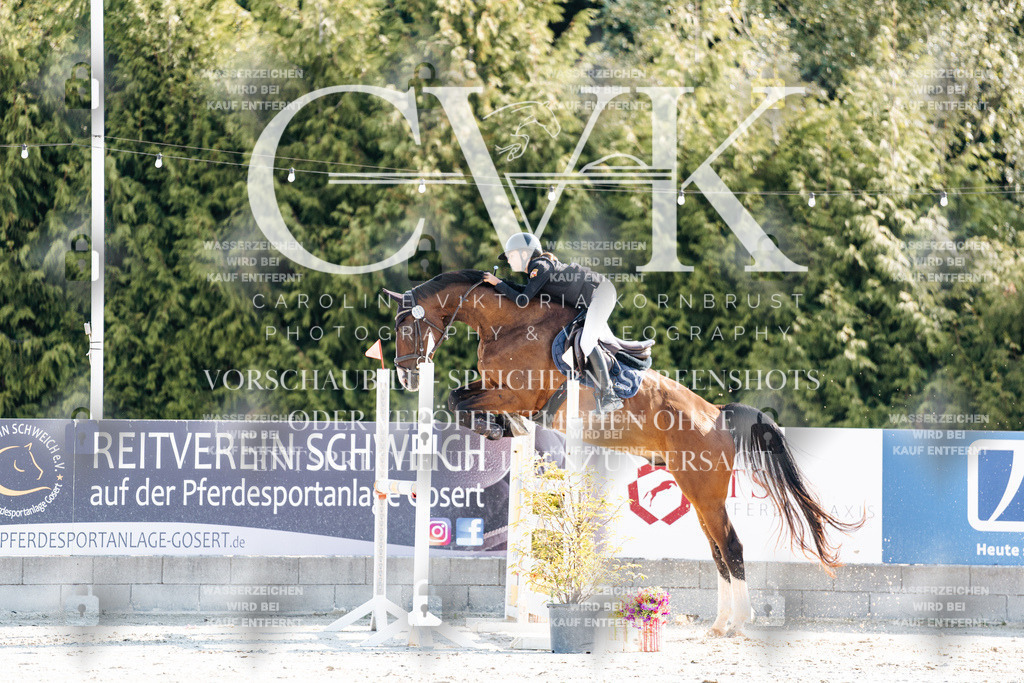 CK901928 | Turnierfotografie Pferdefotografie Trier Rheinland-Pfalz Pferdesport Reitsport Tierfotografie Sportfotografie Pferdevideo Pferdevideografie Equestrianvideography equestrianphotography  - Realisiert mit Pictrs.com