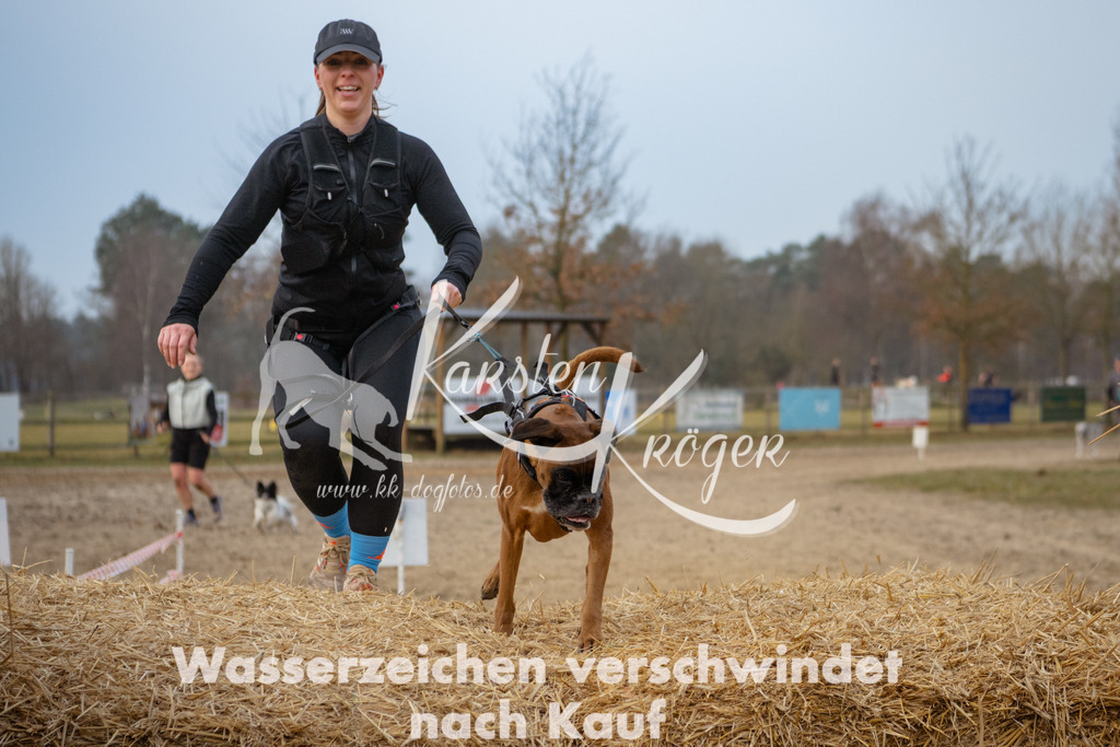0829_ZZ93018 | kk-dogfotos