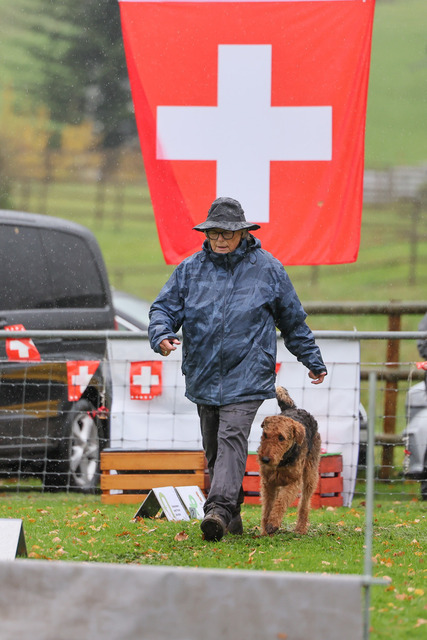 2025_Rally_Obedience_SM-219 | Ich fotografiere Hundeausstellungen, Sportanlässe, Zuchtstätten, Hundezucht, Hundeportrait, Lagotto - Realisiert mit Pictrs.com