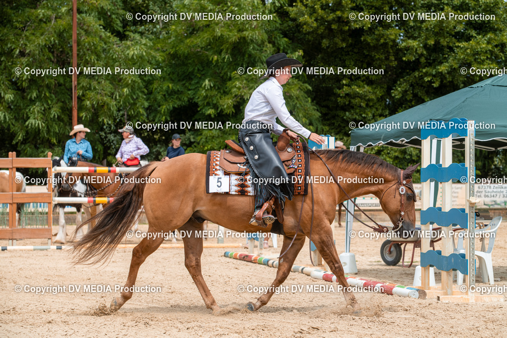 EWP_6245 | dv-media-shop - Realisiert mit Pictrs.com