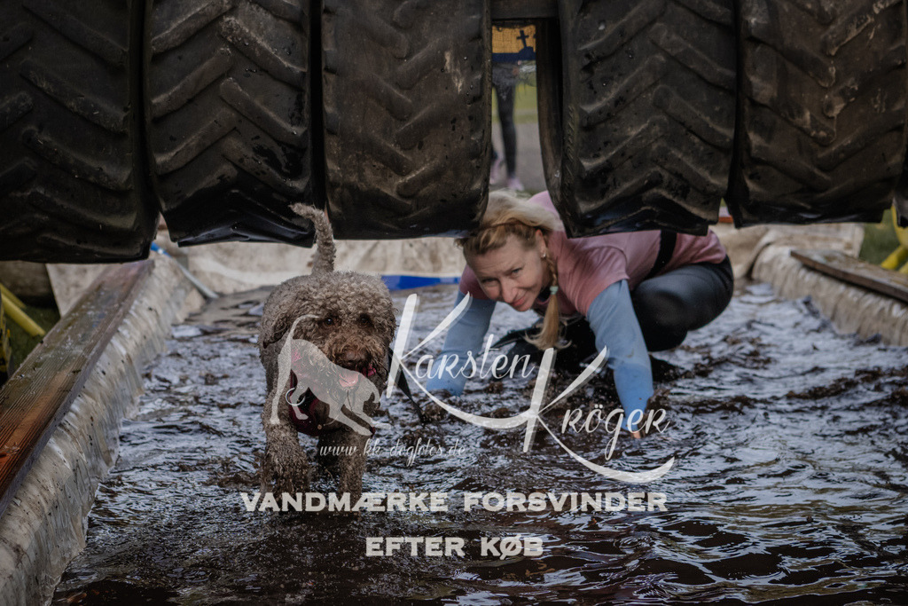 1451_ZZ90517 | kk-dogfotos