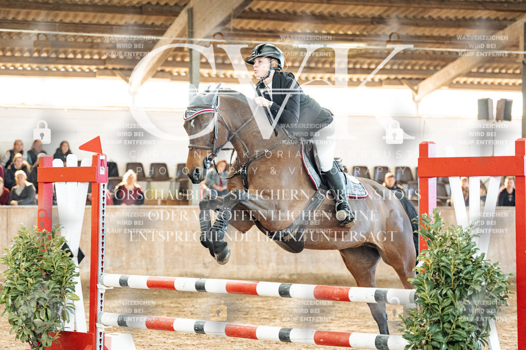 CK904399 | Turnierfotografie Pferdefotografie Trier Rheinland-Pfalz Pferdesport Reitsport Tierfotografie Sportfotografie Pferdevideo Pferdevideografie Equestrianvideography equestrianphotography  - Realisiert mit Pictrs.com