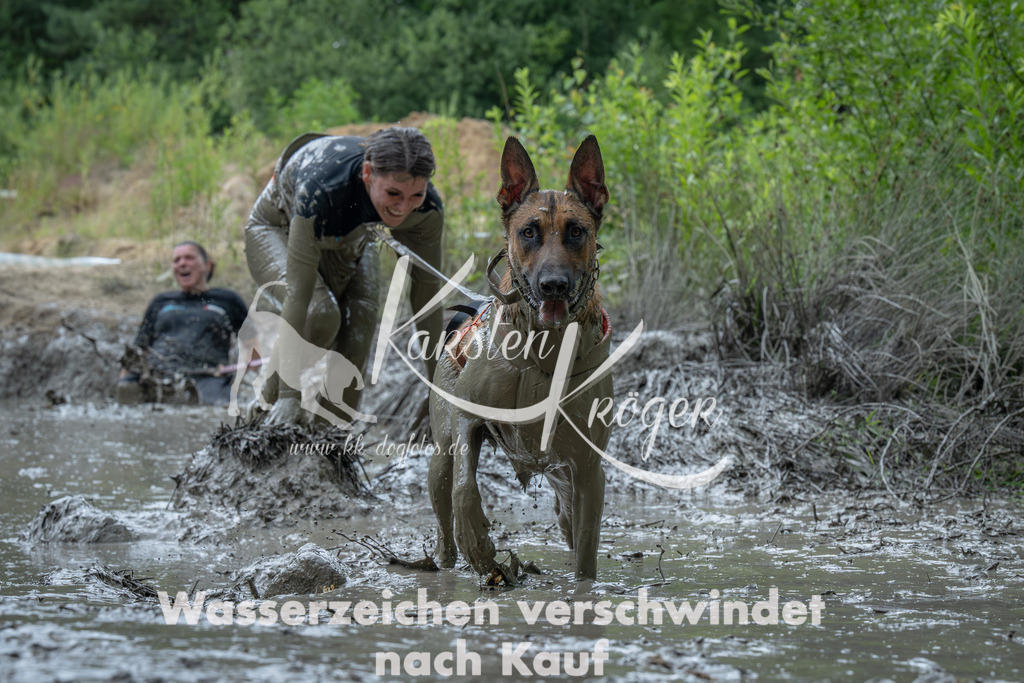 1408_ZZ91069-Verbessert-RR | kk-dogfotos