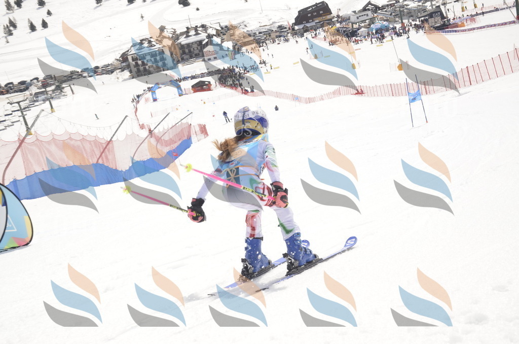 _ELE8656 | holidayphoto