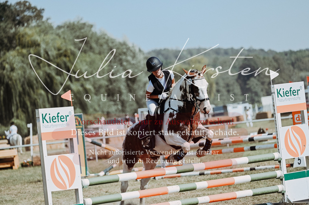 DSC_9817 | Pferde- und Turnierfotografie in Westsachsen. Pferdeportraits, Auftragszeichnungen und intuitive Kunst.