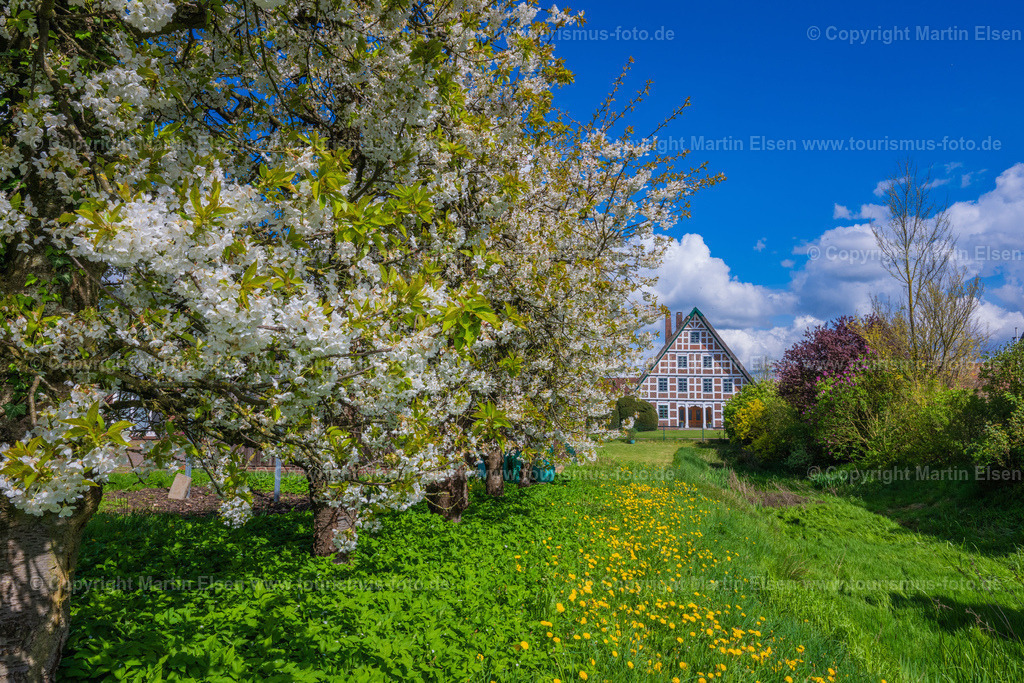Jork Obst Blüte Fachwerk_ELS_2800170424 | Fotos aus den Touristenorten aus Norddeutschland. - Realisiert mit Pictrs.com