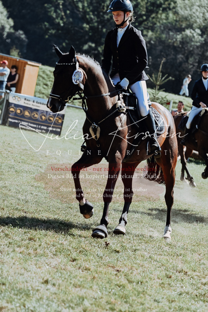 DSC_6226 | Pferde- und Turnierfotografie in Westsachsen. Pferdeportraits, Auftragszeichnungen und intuitive Kunst.