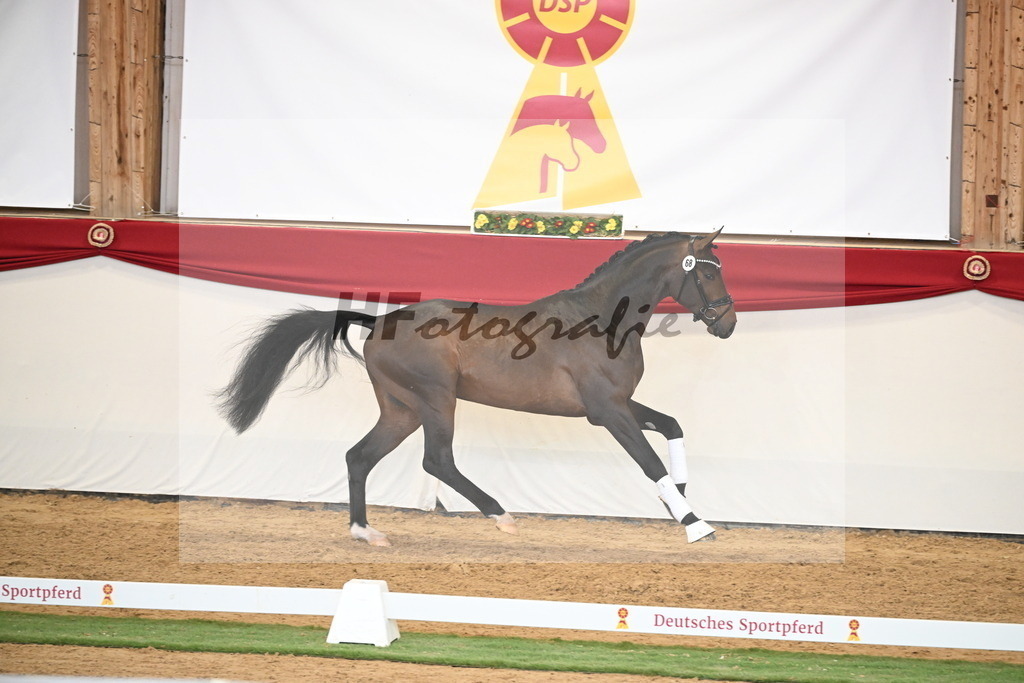 Kat.-Nr. 68 v. Fynch Hatton_Kampe_2250497 | hf-fotografie - Realisiert mit Pictrs.com