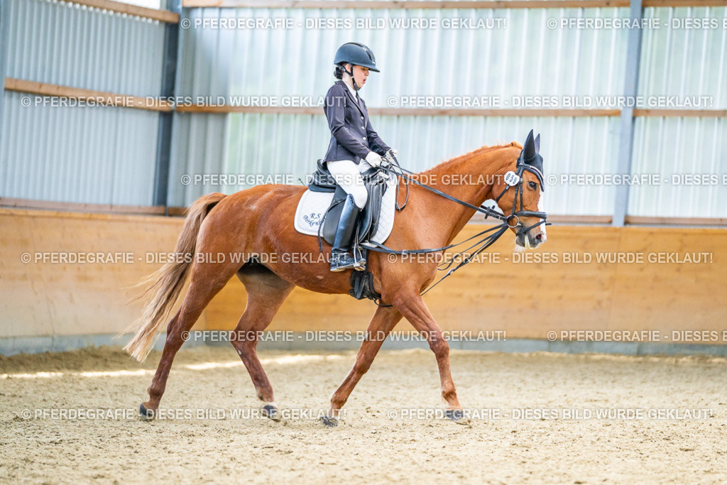 DSC04282 | Pferdegrafie