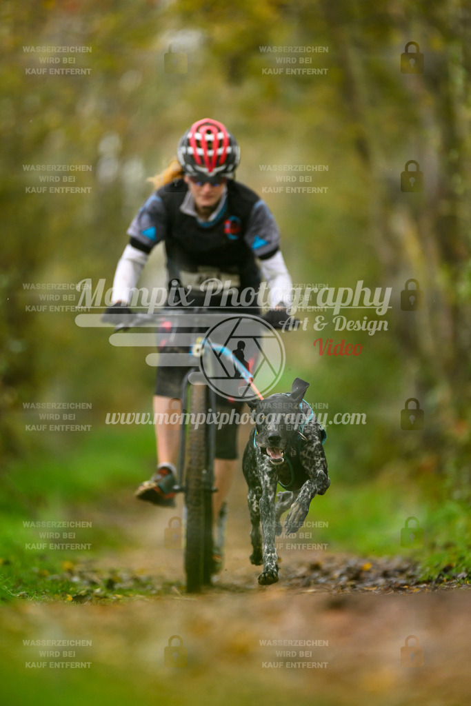 MompixPhotography_20TSB_E6_DS1-27 | PayLife