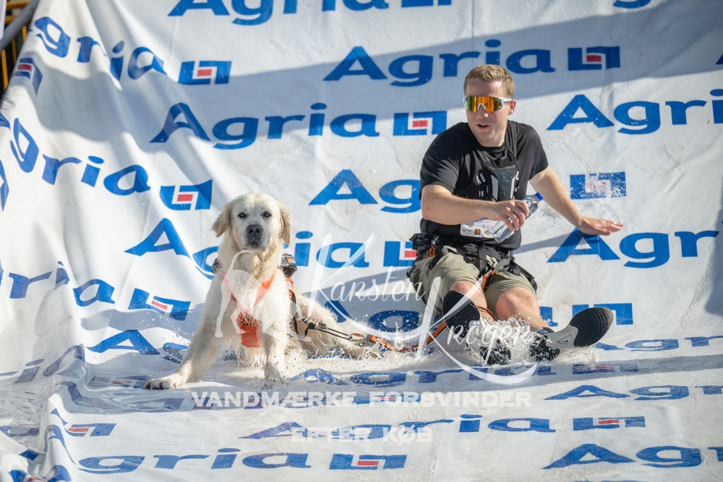 0944_ZZ96910 | kk-dogfotos