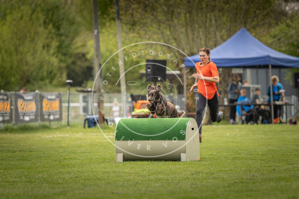 Pfotenfotografie_DV3A6828 | Hundefotografie, Tierfotograf, Pfotenfotografie, Fotoshooting Hund, Hunde Portrait, Hundesport, Hundeportraits, Heideshooting, Hunde, Sportfotograf, Hundefotograf, Turnierhundsport, THS,  - Realisiert mit Pictrs.com