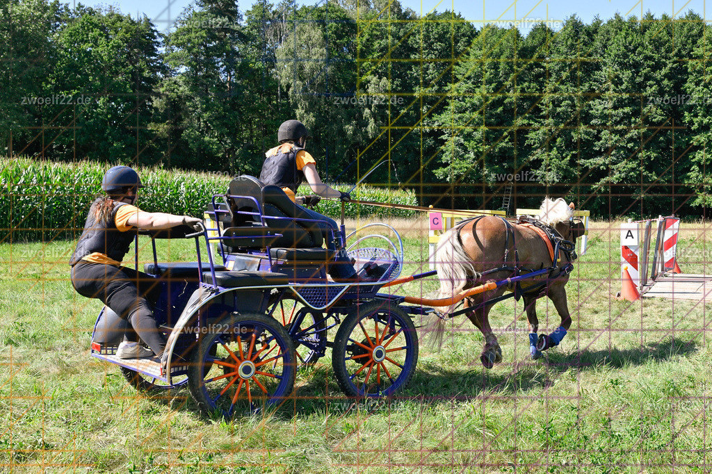 30 Jahre RFV Pulsnitz e.V., Pulsnitz am 09.08.2026 | 30Jahre Reit- und Fahrverein Pulsnitz e.V., Pulsnitz am 08.08.2026Zur 28. breitensportlichen Veranstaltung des RFV Pulsnitz e.V. fanden verschiedene Wettbewerbe in nahezu allen Disziplinen des Pferdesport statt.- Geländefahr-Wettbewerb - Realisiert mit Pictrs.com