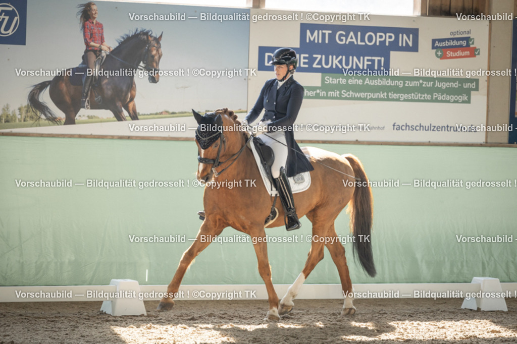 _D5A2435 | Emotionale Pferde- & People-Fotografie rund um Heidelberg, Leimen & Umgebung. Natürliche Fotos von Pferd, Mensch & Familie. Jetzt Termin sichern!