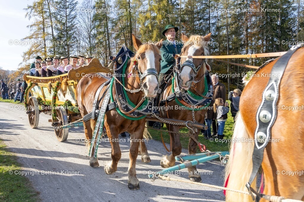 LBT24-1372 | foto-bettina-krinner - Realisiert mit Pictrs.com