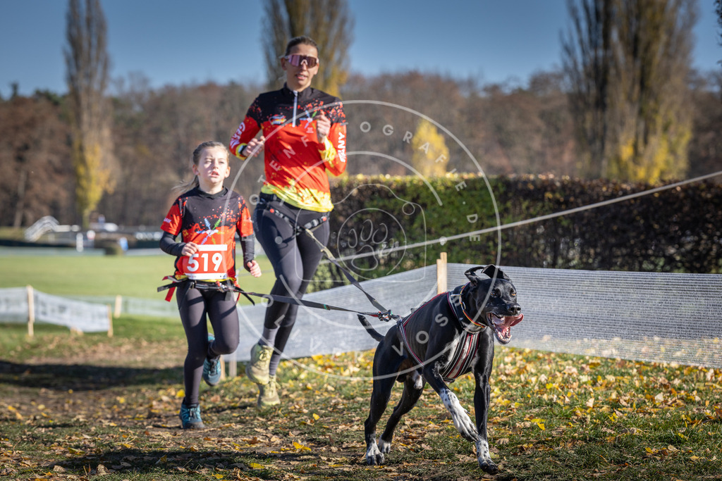CaniXpix_DV3A8098 | Hundefotografie, Tierfotograf, Pfotenfotografie, Fotoshooting Hund, Hunde Portrait, Hundesport, Hundeportraits, Heideshooting, Hunde, Sportfotograf, Hundefotograf, Turnierhundsport, THS,  - Realisiert mit Pictrs.com