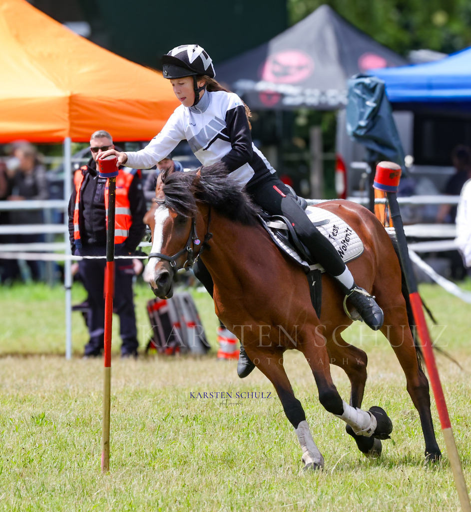 1B3A1223 | Reitsport Reiten