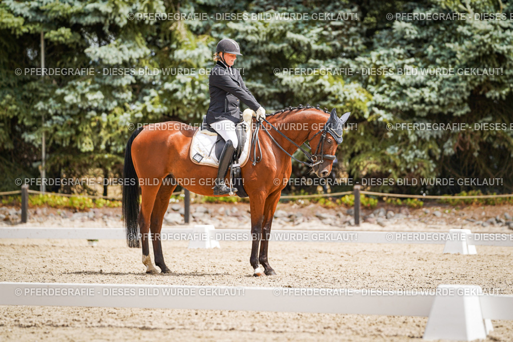 DSC03321 | Pferdegrafie