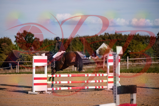 2026_10_03_Siefer-Hof_171940_Z81_17768716 | Professionelle Reitsport-, Turnier- und Eventfotografie von Robert Broda. Galerien mit ausgewählten und bearbeiteten Bildern direkt online ansehen und bestellen.