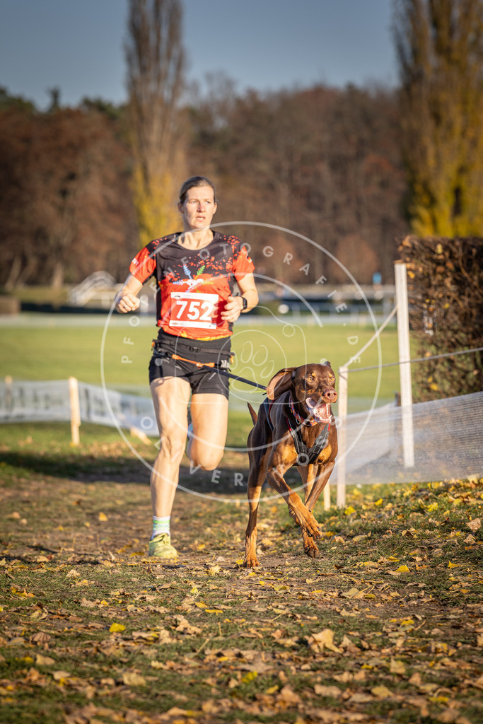 CaniXpix_DV3A2466 | Hundefotografie, Tierfotograf, Pfotenfotografie, Fotoshooting Hund, Hunde Portrait, Hundesport, Hundeportraits, Heideshooting, Hunde, Sportfotograf, Hundefotograf, Turnierhundsport, THS,  - Realisiert mit Pictrs.com