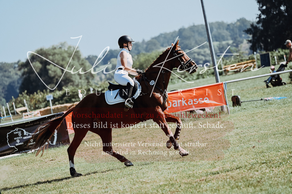 DSC_5668 | Pferde- und Turnierfotografie in Westsachsen. Pferdeportraits, Auftragszeichnungen und intuitive Kunst.