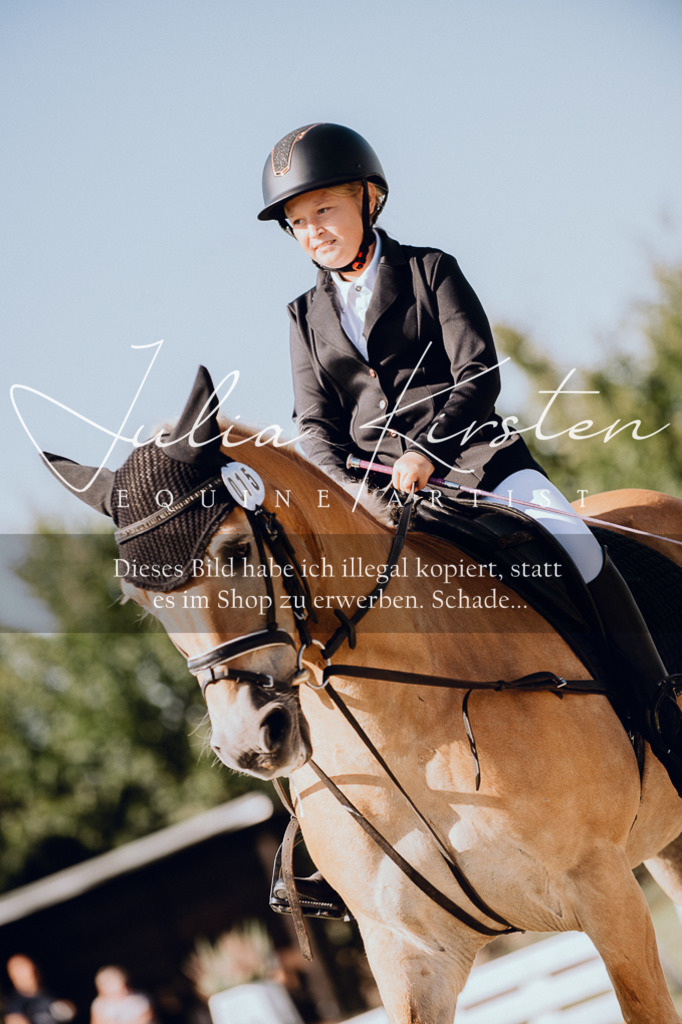 DSC_7096 | Pferde- und Turnierfotografie in Westsachsen. Pferdeportraits, Auftragszeichnungen und intuitive Kunst.