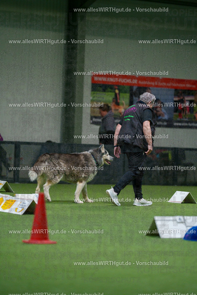 7R504413 | Professionelle Tierfotografie in Mönchengladbach von Daniel Wirth (allesWIRTHgut). Liebevolle & natürliche Bilder von Hunden & Katzen für unvergessliche Erinnerungen.