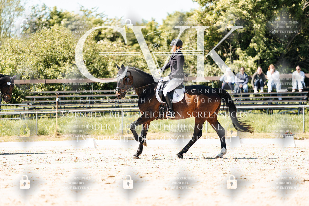 CK905455 | Turnierfotografie Pferdefotografie Trier Rheinland-Pfalz Pferdesport Reitsport Tierfotografie Sportfotografie Pferdevideo Pferdevideografie Equestrianvideography equestrianphotography  - Realisiert mit Pictrs.com