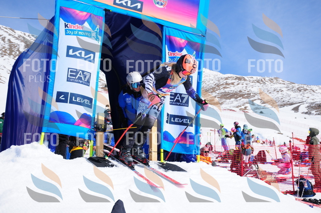 DSC_4704 | holidayphoto