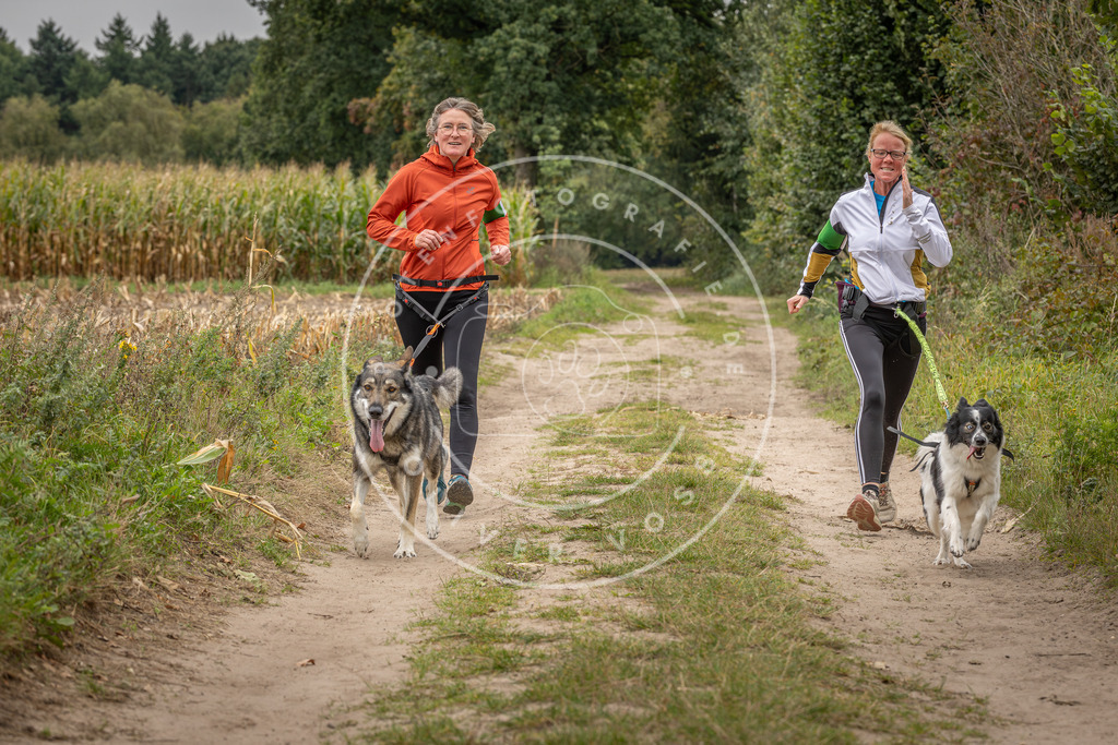 Pfotenfotografie_DV3A6847 | Hundefotografie, Tierfotograf, Pfotenfotografie, Fotoshooting Hund, Hunde Portrait, Hundesport, Hundeportraits, Heideshooting, Hunde, Sportfotograf, Hundefotograf, Turnierhundsport, THS,  - Realisiert mit Pictrs.com