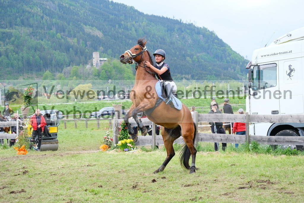 DSCF6208 | equestrian-live-com