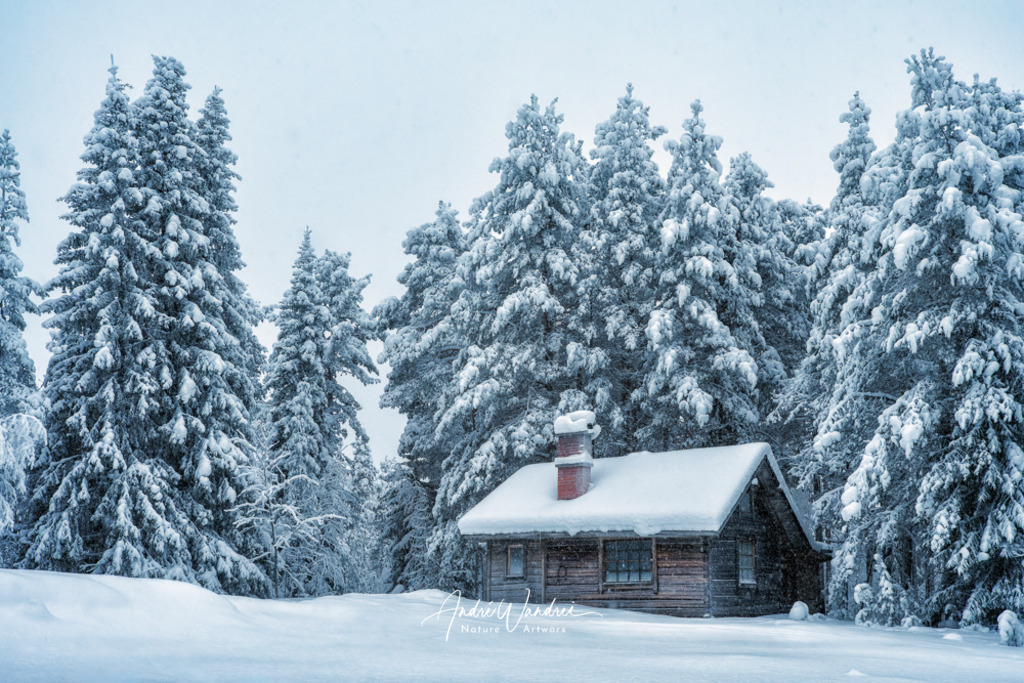 Die Hütte im Winterwald | Andre Wandrei - Nature Artworx - Realisiert mit Pictrs.com