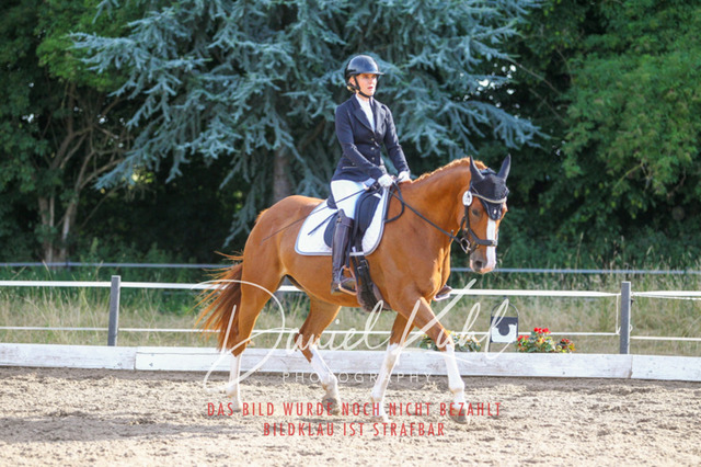 DKP45520 | Turniersportfotografie; Pferdefotografie; Dressurfotografie