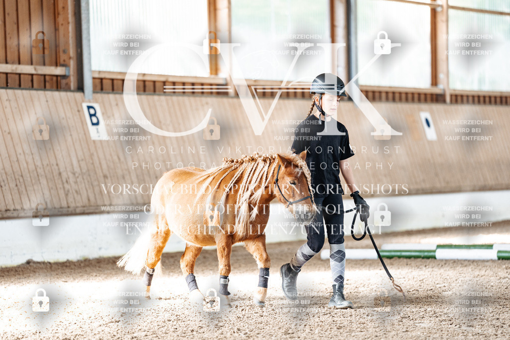 CK905232 | Turnierfotografie Pferdefotografie Trier Rheinland-Pfalz Pferdesport Reitsport Tierfotografie Sportfotografie Pferdevideo Pferdevideografie Equestrianvideography equestrianphotography  - Realisiert mit Pictrs.com