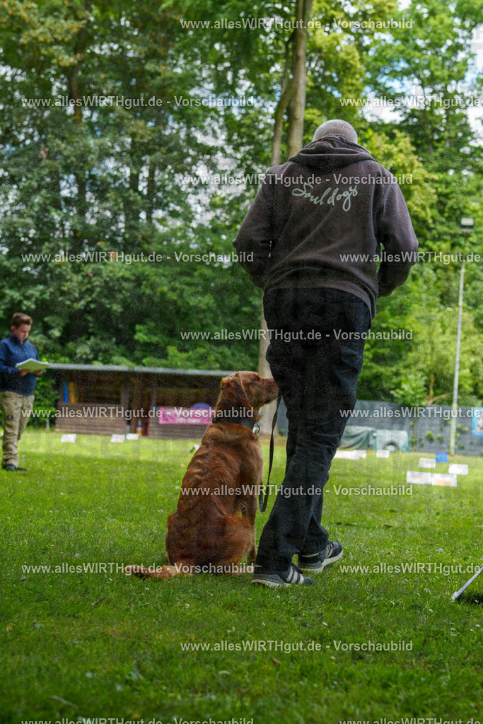 @allesWIRTHgut_Tierfotografie - www.allesWIRTHgut.de - 125708-7R509583 | Professionelle Tierfotografie in Mönchengladbach von Daniel Wirth (allesWIRTHgut). Liebevolle & natürliche Bilder von Hunden & Katzen für unvergessliche Erinnerungen.