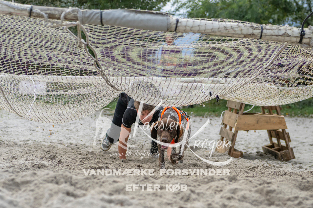 1136_ZZ98234 | kk-dogfotos