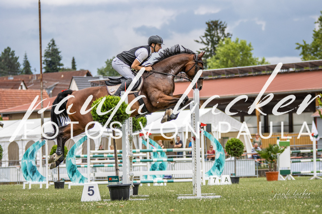IMG_7243 | Erleben Sie dynamische Sport- und emotionale Tierfotografie in Süddeutschland mit Fotos von Paula. Spezialisiert auf Pferde- und Hundefotografie sowie Sportevents. Kontaktieren Sie mich für einzigartige und ausdrucksstarke Bilder Ihrer besonderen Momente. - Realisiert mit Pictrs.com