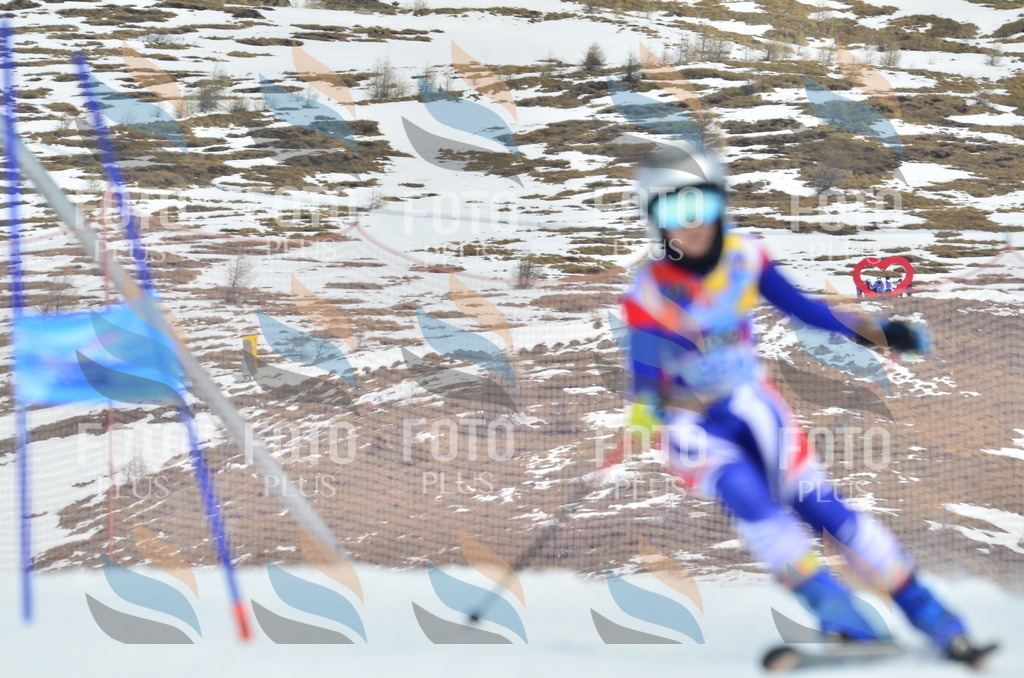 _ELE2724 | holidayphoto