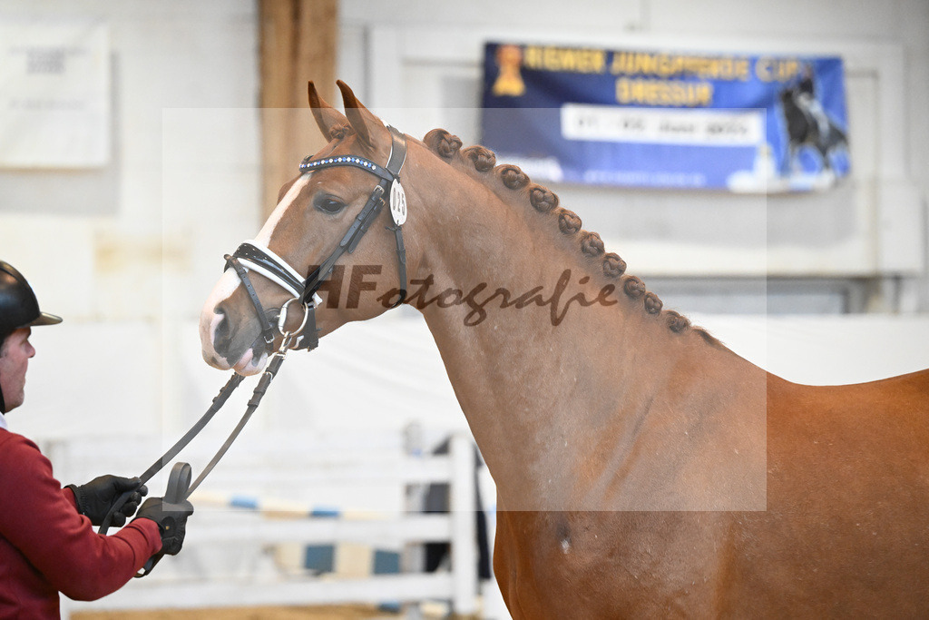 Kat-Nr. 25 v. Baggio_Heiterreiter GmbH_6240468 | hf-fotografie - Realisiert mit Pictrs.com