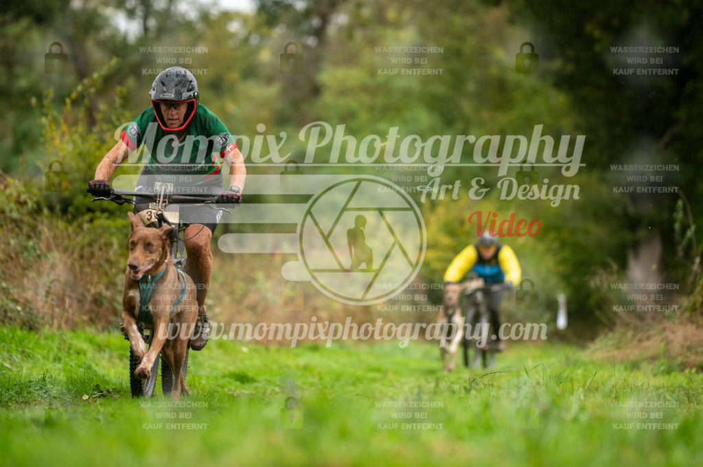 TSB_2023_E6_Bike-36 | PayLife