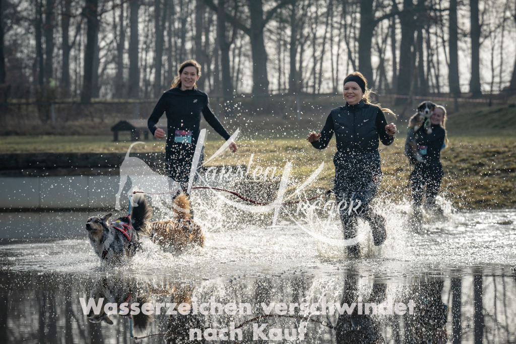 0931_ZZ92039 | kk-dogfotos
