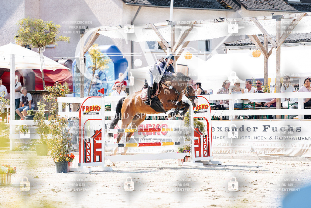 CK908456 | Turnierfotografie Pferdefotografie Trier Rheinland-Pfalz Pferdesport Reitsport Tierfotografie Sportfotografie Pferdevideo Pferdevideografie Equestrianvideography equestrianphotography  - Realisiert mit Pictrs.com