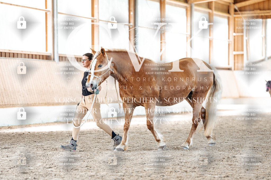 CK906710 | Turnierfotografie Pferdefotografie Trier Rheinland-Pfalz Pferdesport Reitsport Tierfotografie Sportfotografie Pferdevideo Pferdevideografie Equestrianvideography equestrianphotography  - Realisiert mit Pictrs.com