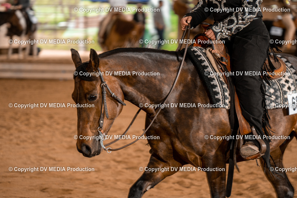 BA400678 | dv-media-shop - Realisiert mit Pictrs.com