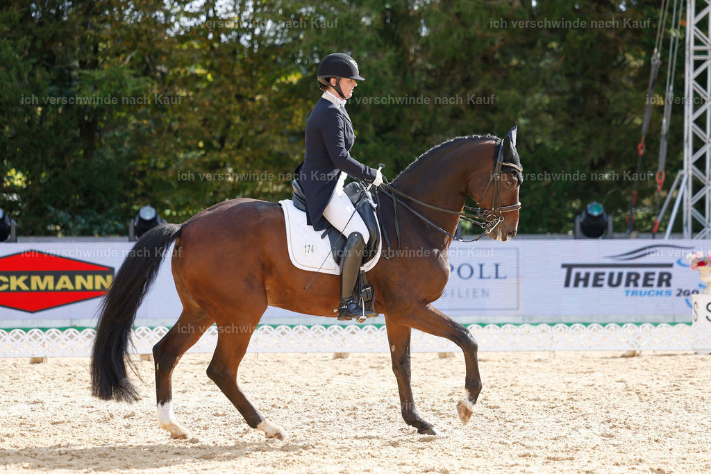 09_2-174-DRESSUR  S_  -StoibPH-5778 | working equitationturnier fotograf videograf stoibphotography marixx film working equitation deutschland reitsport turnierfotografie eventfotografie equestrian events