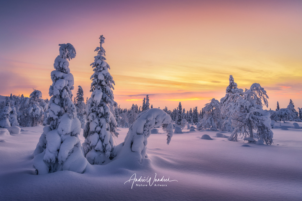 Winterstimmung | Andre Wandrei - Nature Artworx - Realisiert mit Pictrs.com