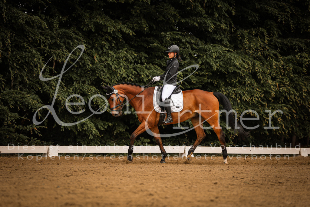 DoDrE00112 | Leoni Ertmer Photography - Realisiert mit Pictrs.com