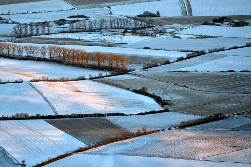 3700262 | winterl. Baum-und Feldstrukturen bei Altmannshausen
