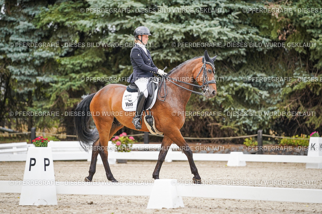 DSC08243 | Pferdegrafie