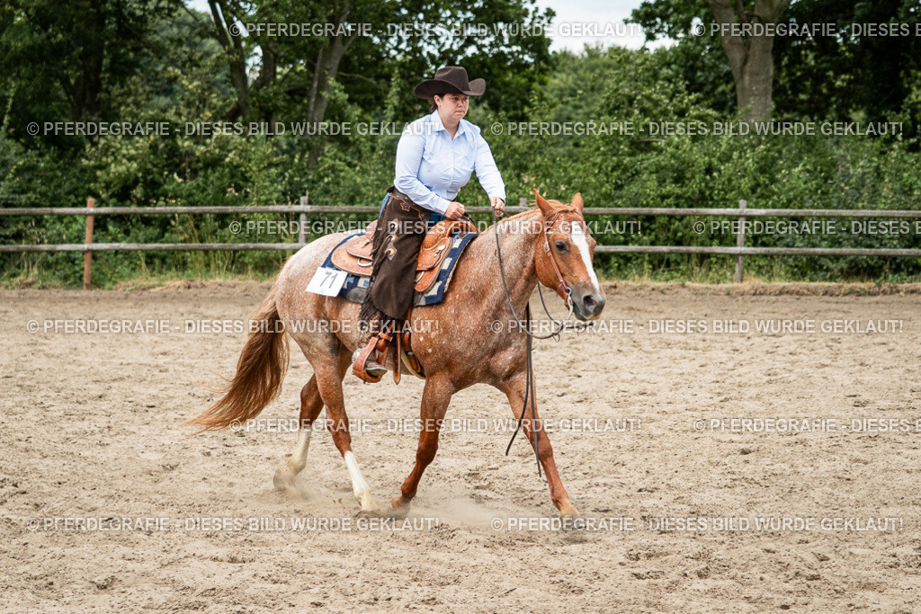 DSC02884 | Pferdegrafie